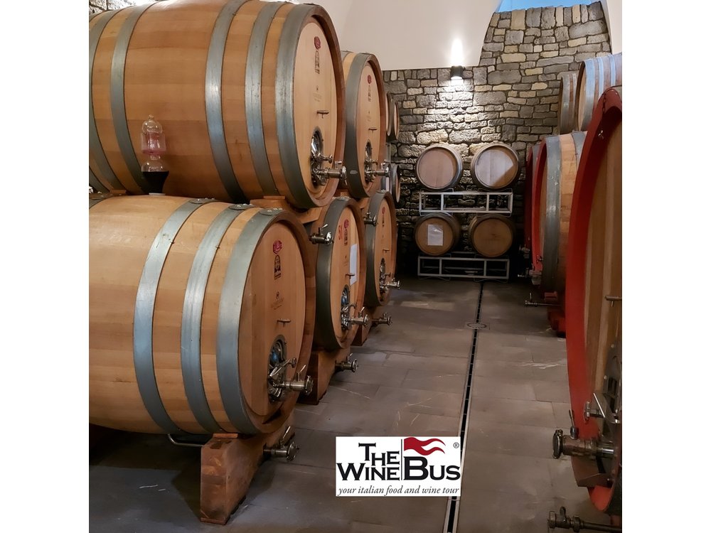 Private Irpinia Wine Tour from NAPLES with sommelier