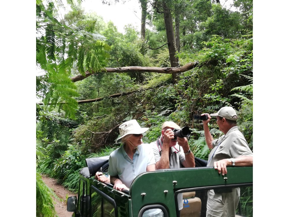 Porto Moniz - Private Full-Day - Safari 4x4 Tour - NorthWest