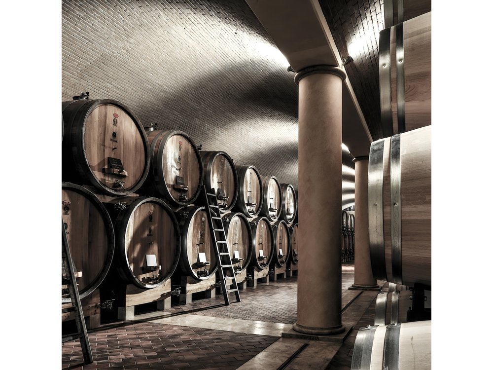 Verona area: Wine Tasting Experience in Valpolicella