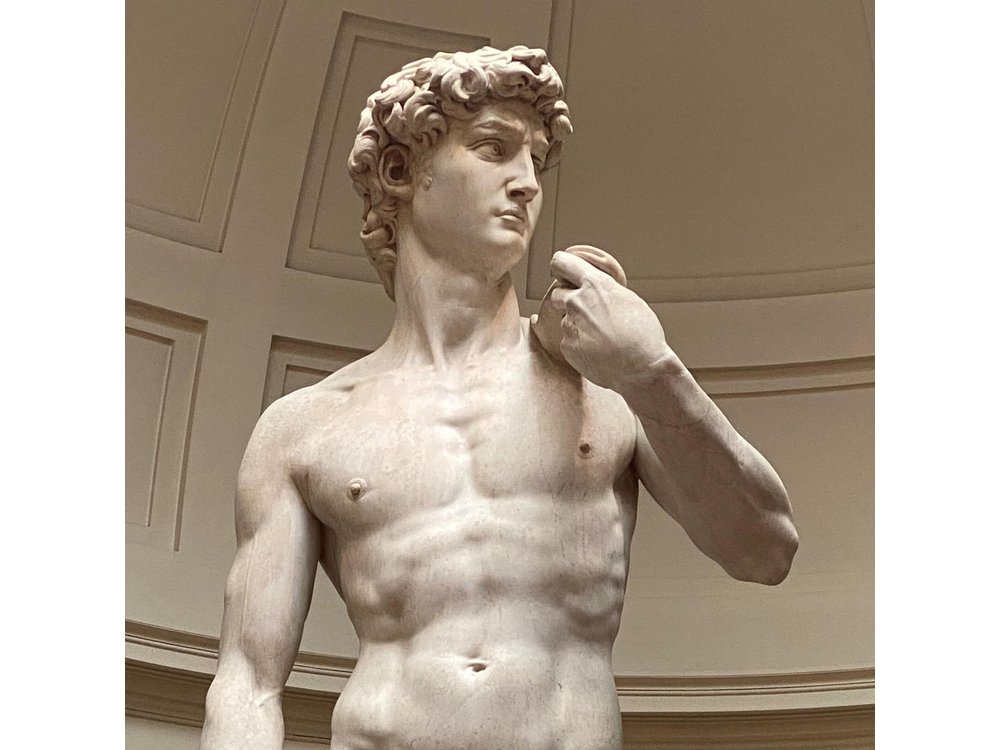 DAVID and Accademia Gallery Private Tour in Florence