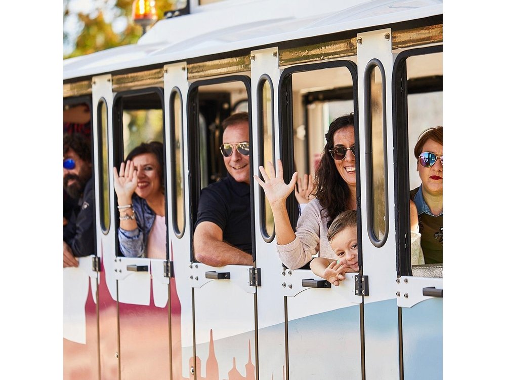 Self-Guided Toledo Day Trip from Madrid with Panoramic Train