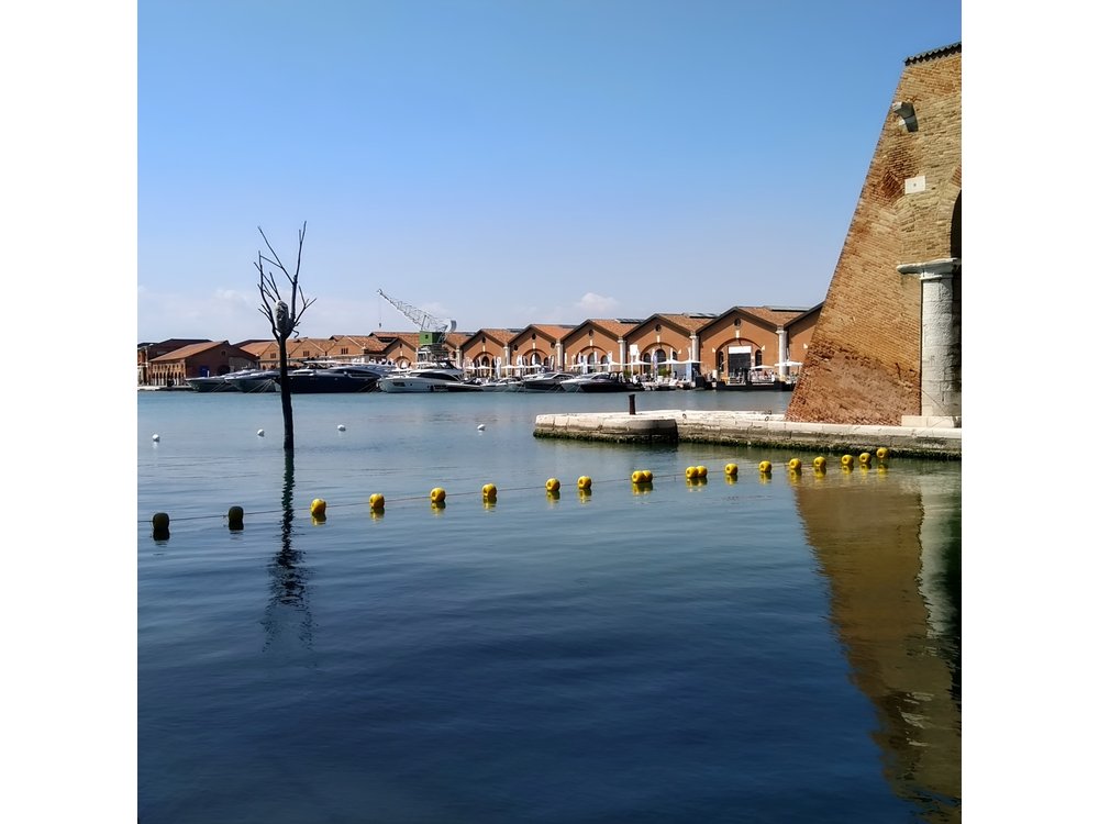 Biennale of Venice 2026, visit with private guide