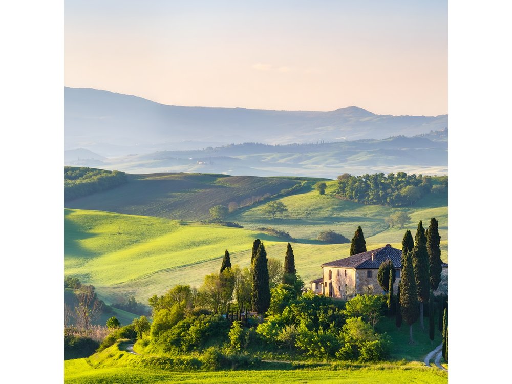 Private Tuscany Wine Country Day Trip from Rome with Lunch
