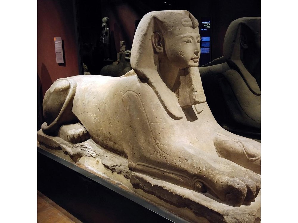Turin: Egyptian Museum & city tour guided experience
