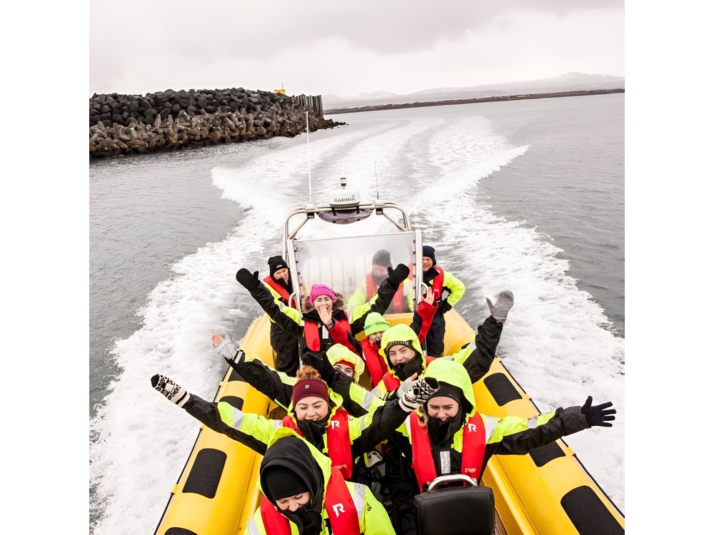 Whale Watching by RIB Speedboat from Downtown Reykjavik