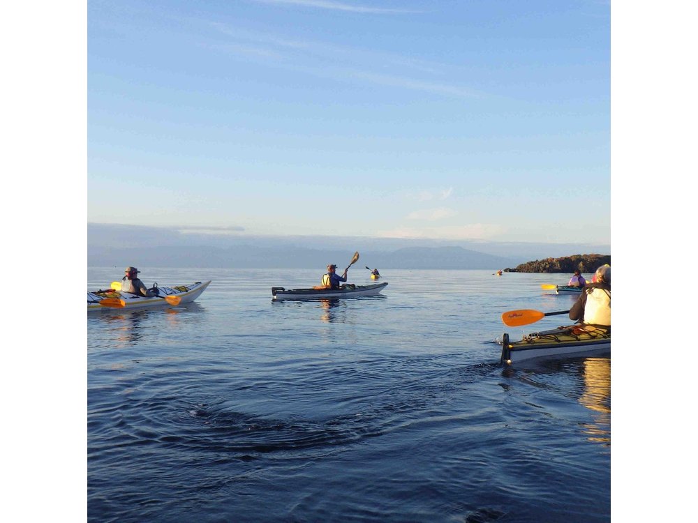 4 hr Kayak Tour around Saysutshun/NewCastle Island in Nanaimo, BC
