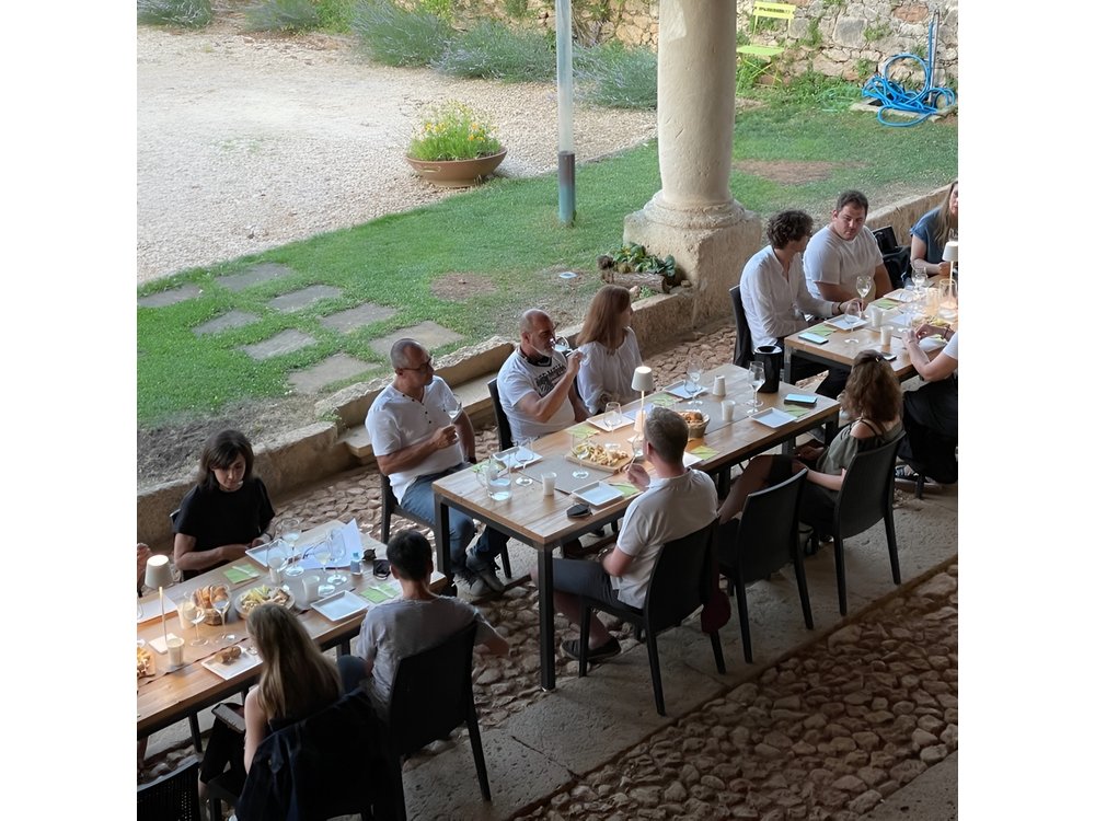 From Verona: Prosecco & Classic method sparkling wine tour, with light lunch