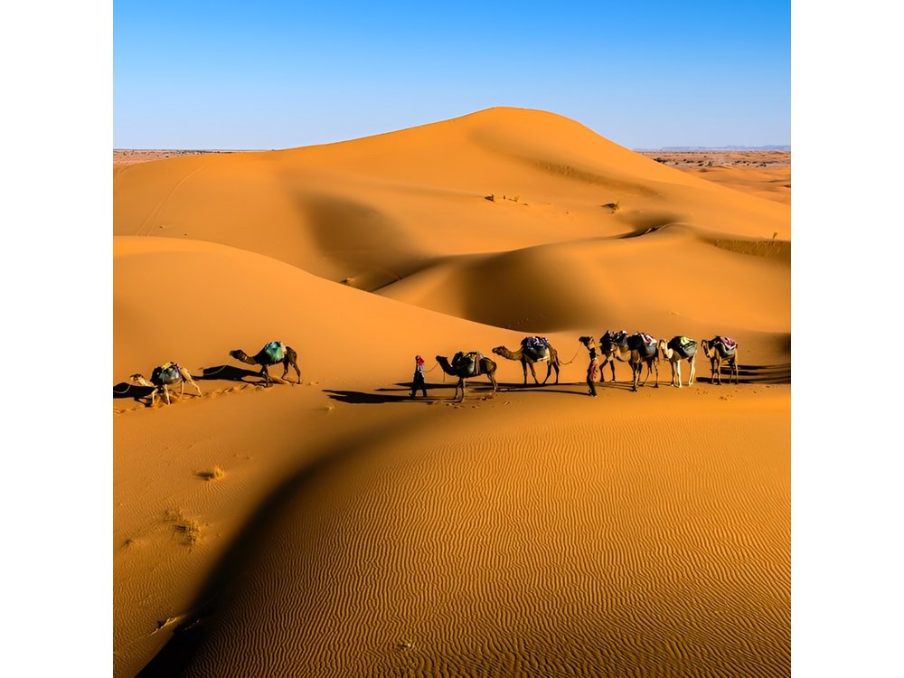 Overnight Sahara Tour from Marrakech to Mhamid