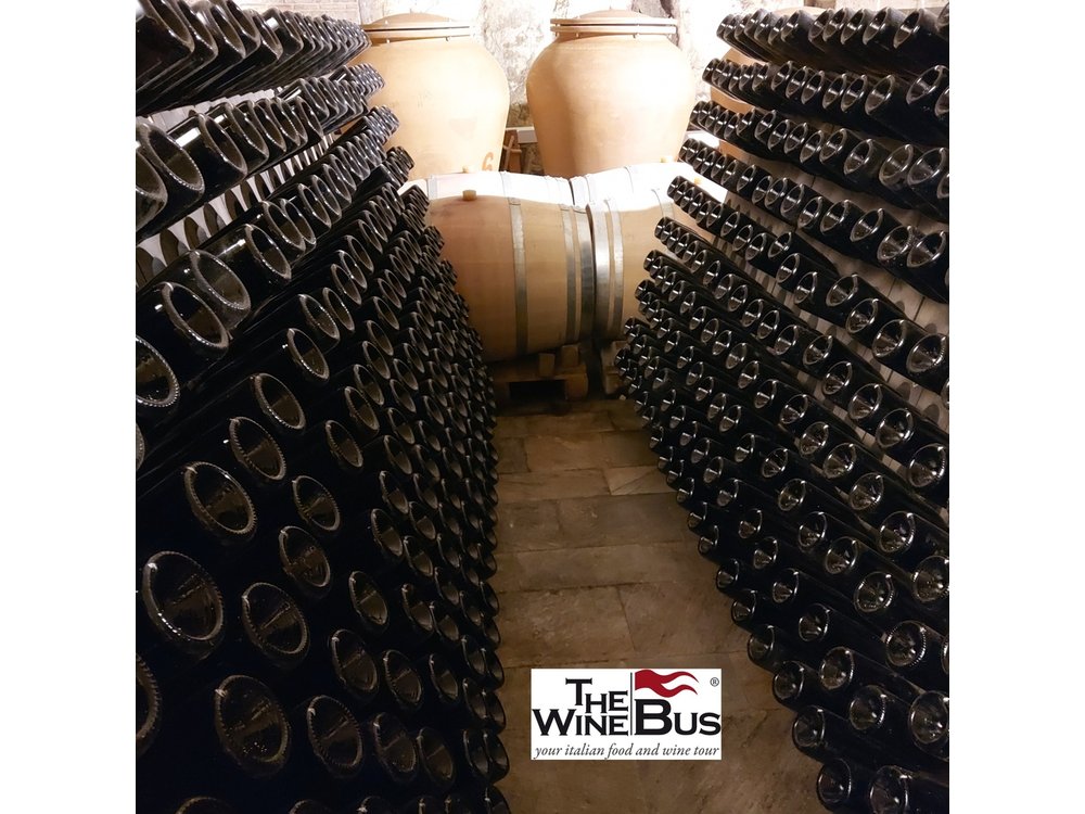 Private Irpinia Wine Tour from SORRENTO with sommelier