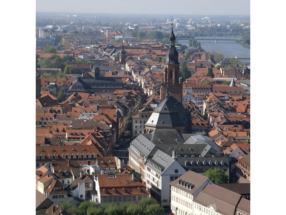 Heidelberg Old Town Private Walking Tour including Castle Visit