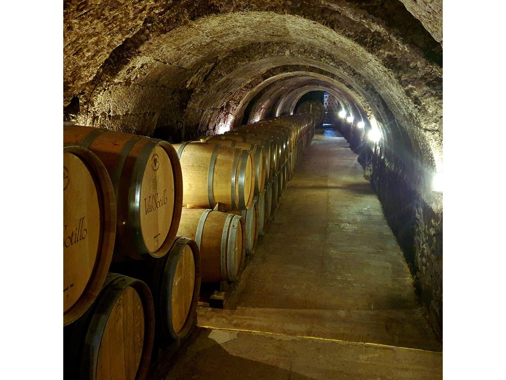 Ribera del Duero:4 Wineries, tasting & Lunch included from Madrid