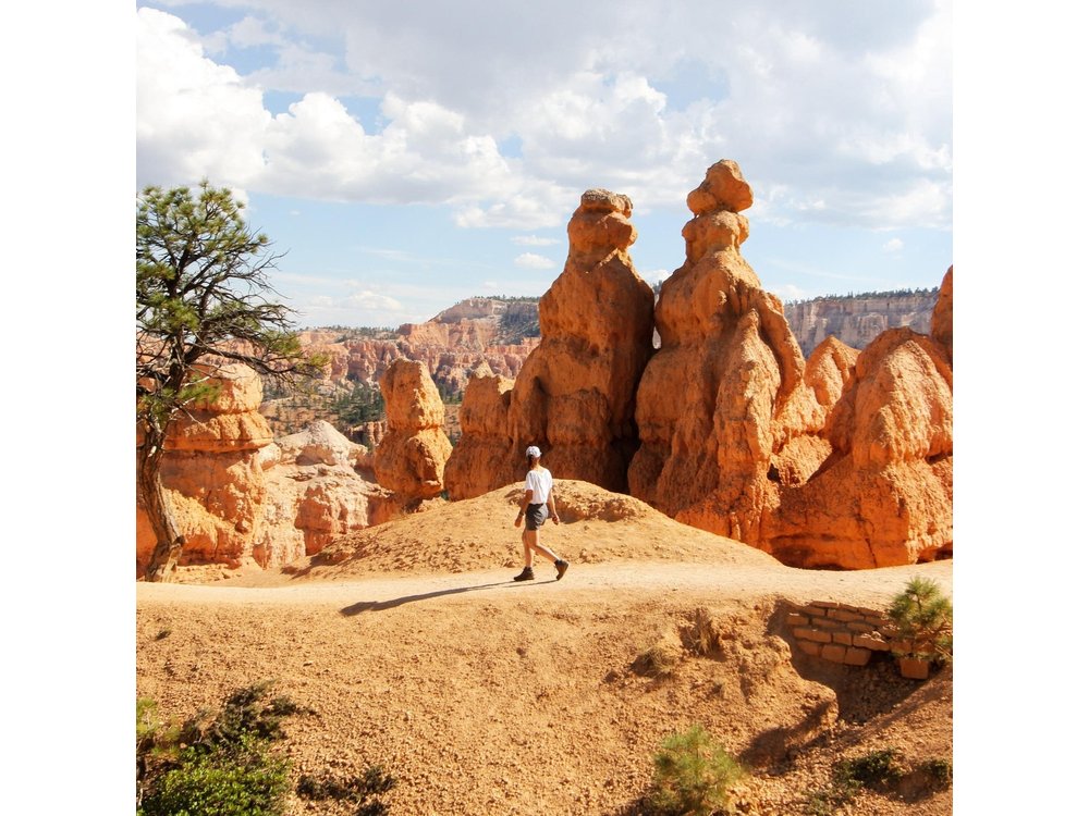 Private Tour: Bryce Canyon & Zion National Park Day Tour from Las Vegas