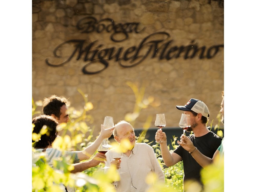 Rioja Uncorked: Private Wine Experience from San Sebastián
