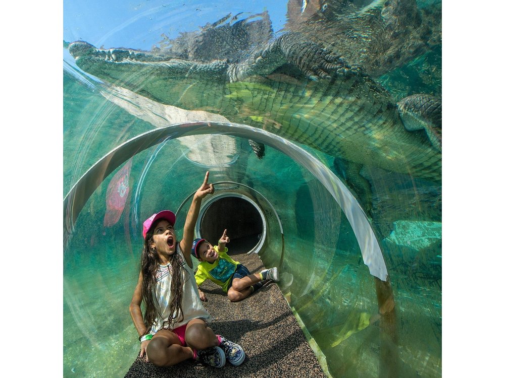 Go City: Miami Explorer Pass - Choose 2, 3, 4 or 5 Attractions