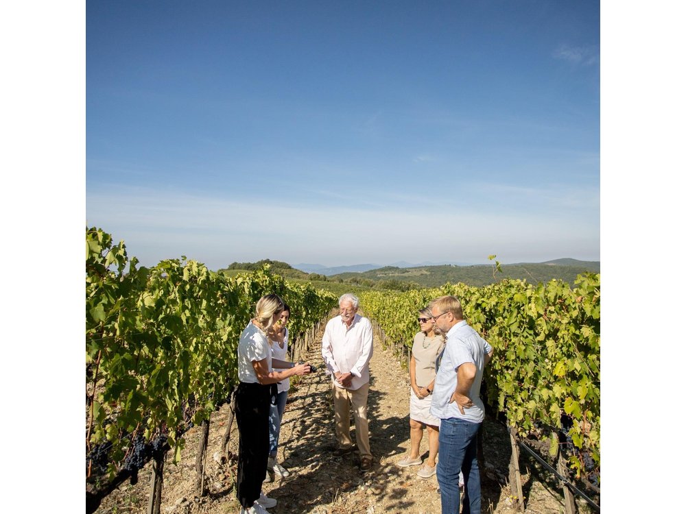 Winery Tour & Gourmet Tasting in Montalcino