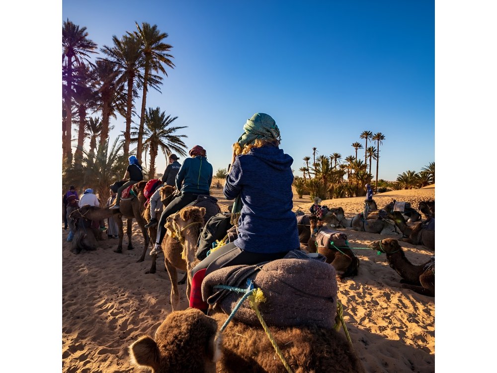 Desert Odyssey: 2 Days _ Marrakech to Merzouga Expedition