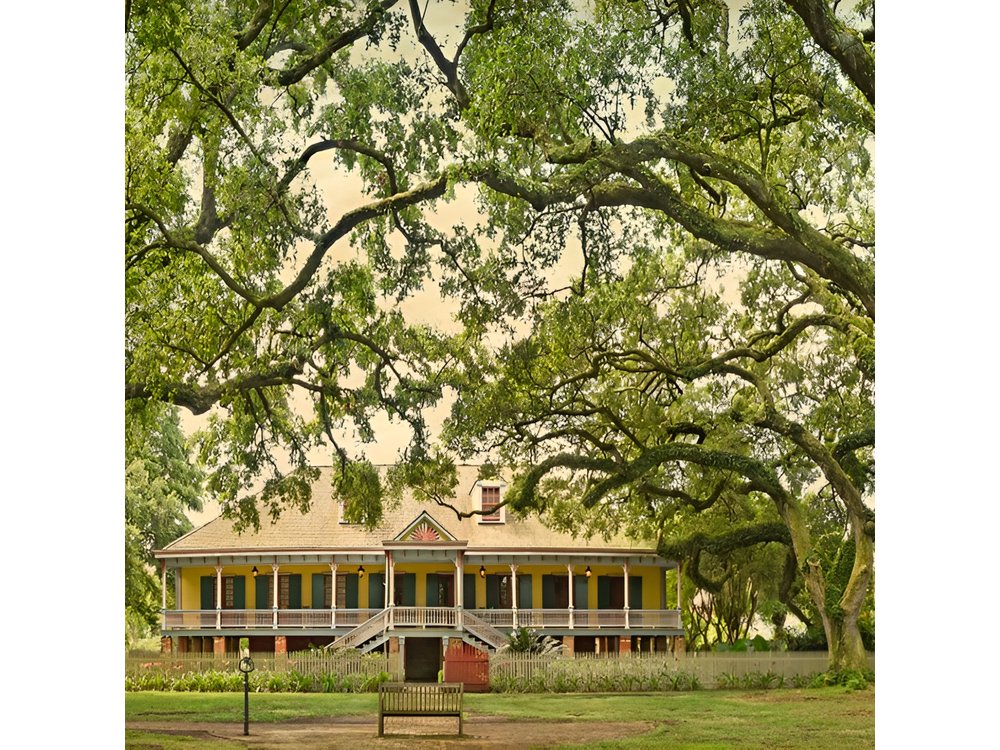 Guided Laura Plantation Tour from New Orleans