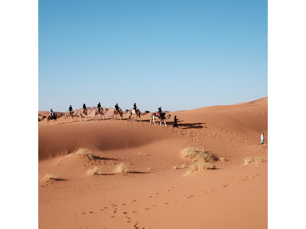Private Marrakech Desert tour to Fes
