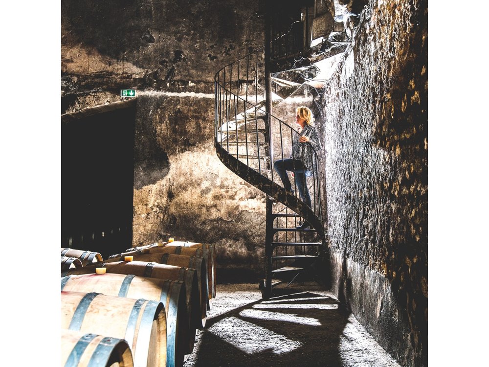 Bordeaux: Château Visit, Underground Cellars & Wine Tasting