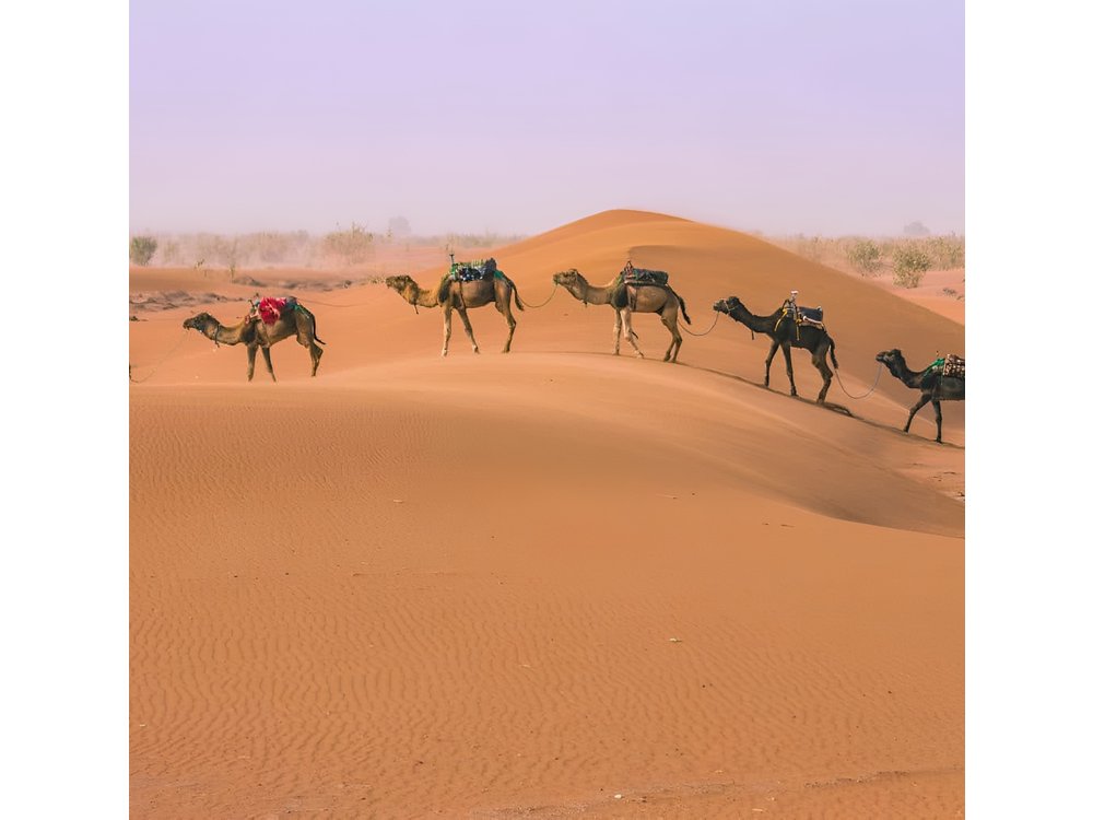 From Marrakech: 3 Days Desert Tour To Merzouga Camp & Camel Trek