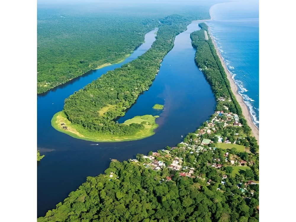 Tortuguero One Day Private Tour from San Jose