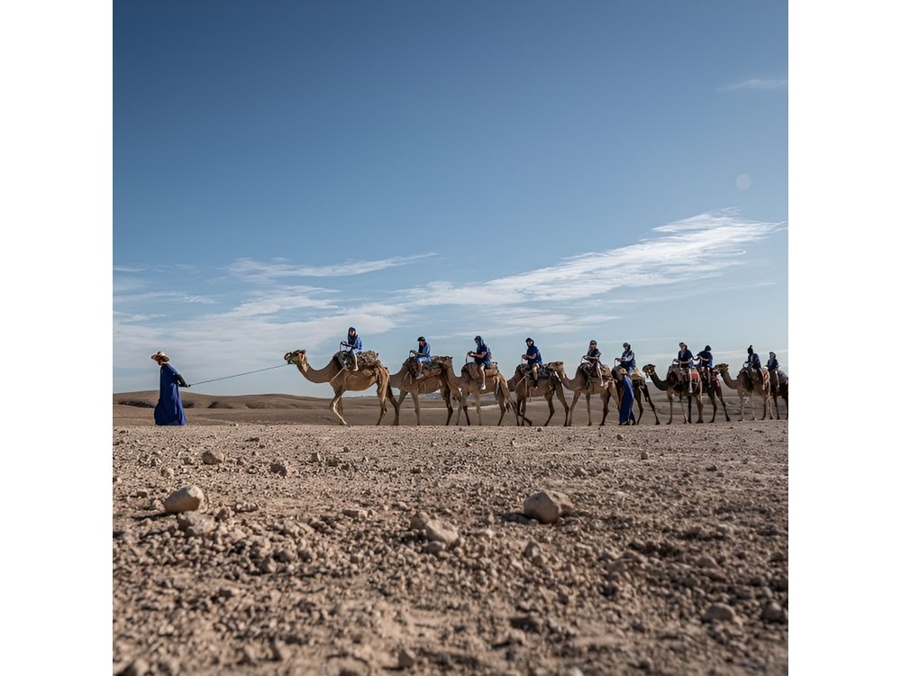 From Marrakech: Agafay Desert Camel Experience