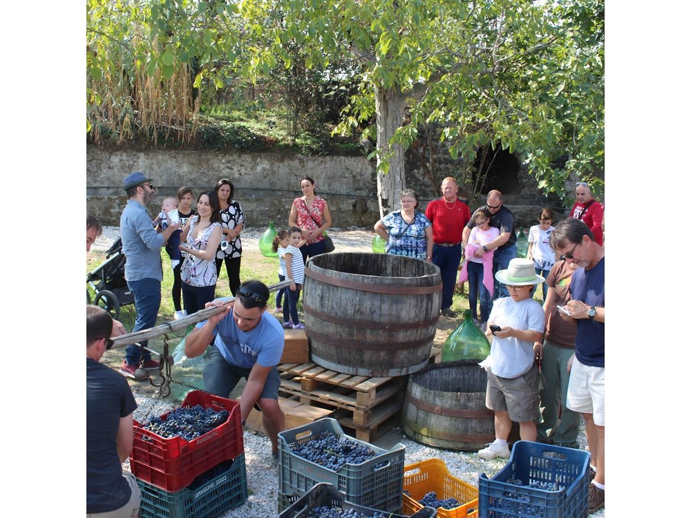 Pompeii Wine Tasting Tour from Positano
