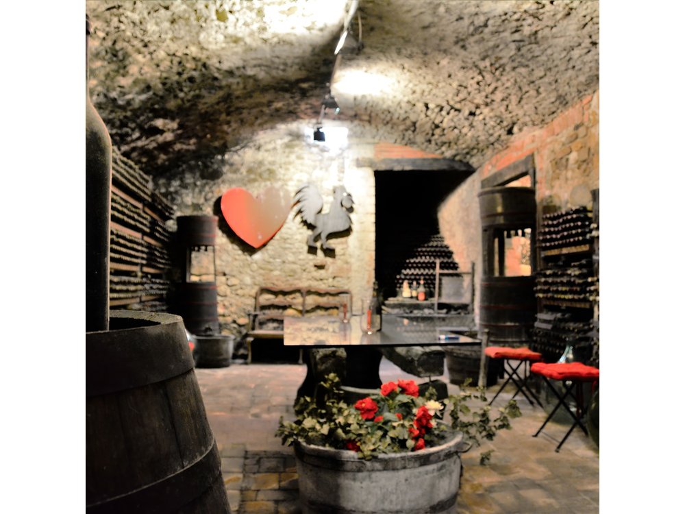 Exclusive Private Tuscan Dinner Half Day from Florence