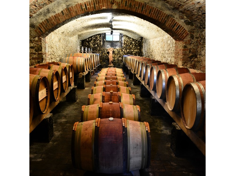 Exclusive Private Chianti Classico Experience from Florence