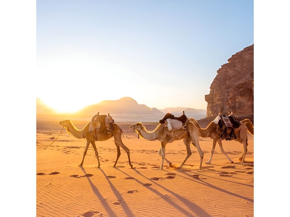 2-Day Desert Tour from Marrakech to Zagora Private & Luxury