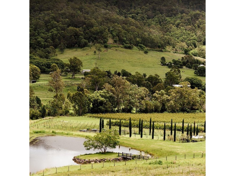 Mount Tamborine Winery Tour with Gourmet lunch from Gold Coast