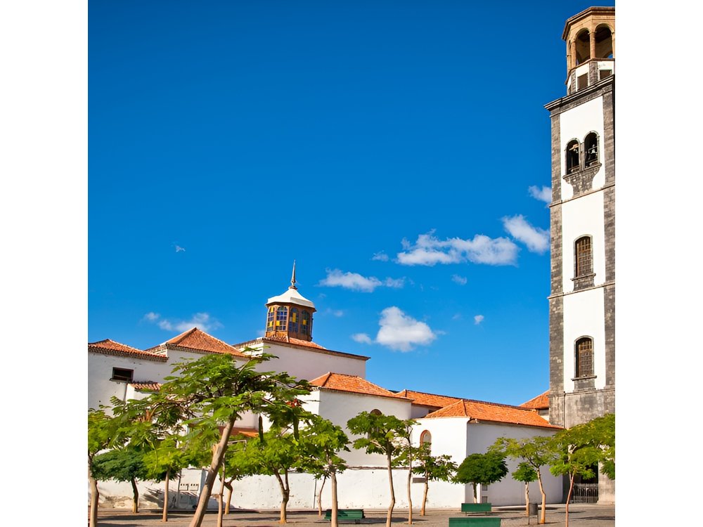 6 Hrs Private Tour In Tenerife