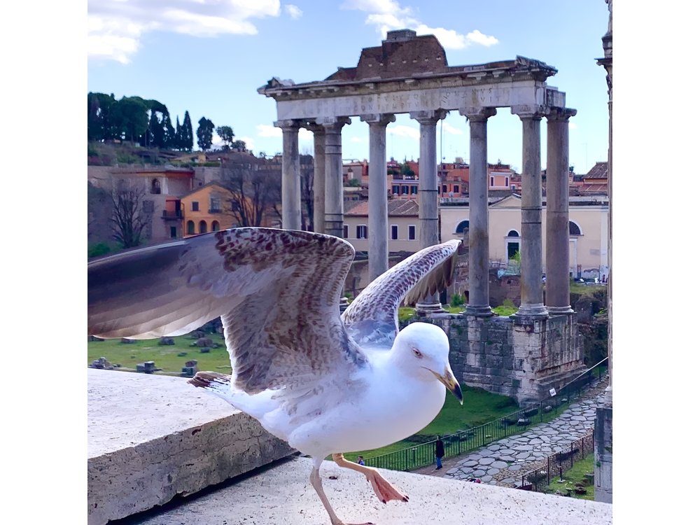 Rome: Private Tour with Guide