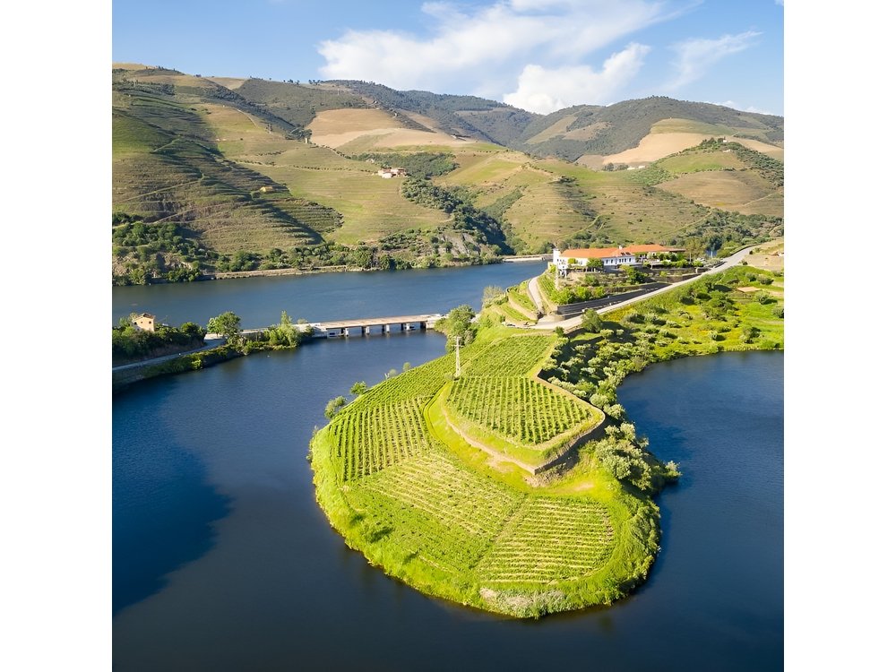 Private Douro Valley - Senses Experiences