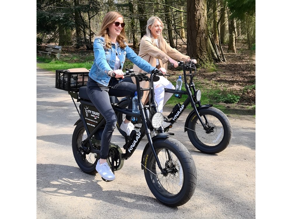Eindhoven: Full Day E-Fatbike Rental + Tour
