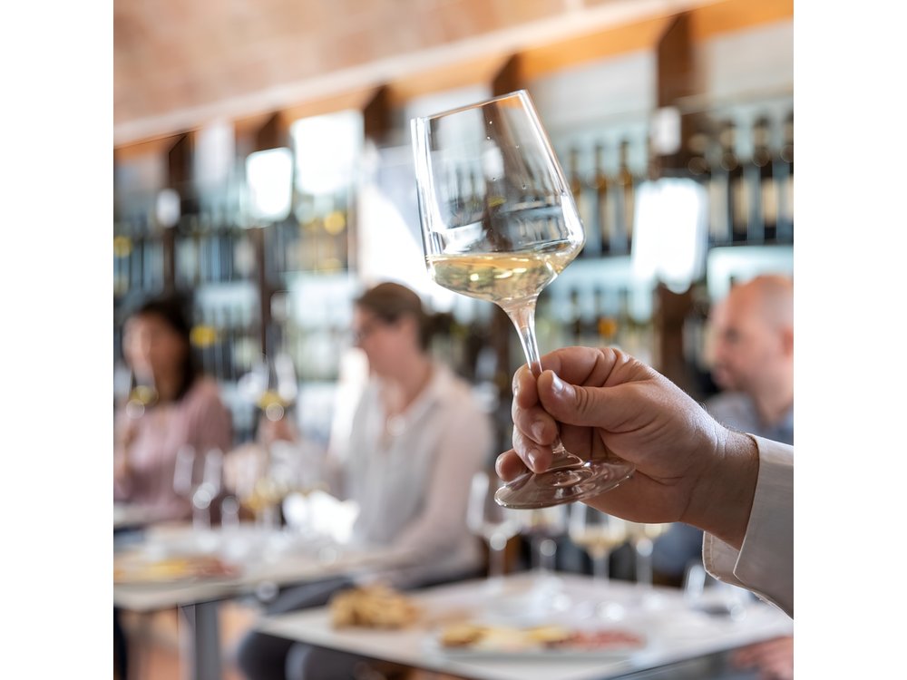 Superior Wine Tasting in San Gimignano