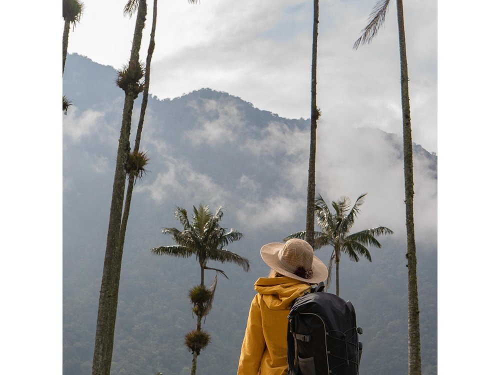Colombia’s 3 Axis of Diversity: Bogota, Coffee Region and Cartagena 8-Day Tour