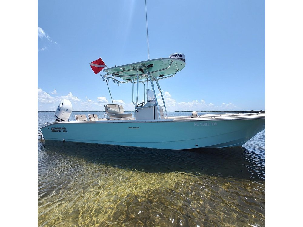 2-Hour Private Sightseeing Dolphin Tour in Panama City Beach