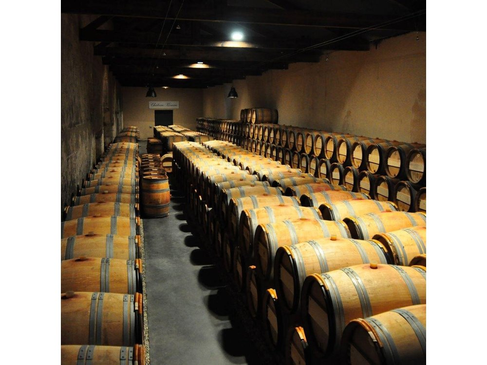 Medoc Region Wine Day Trip with Vineyard Visits & Tastings from Bordeaux