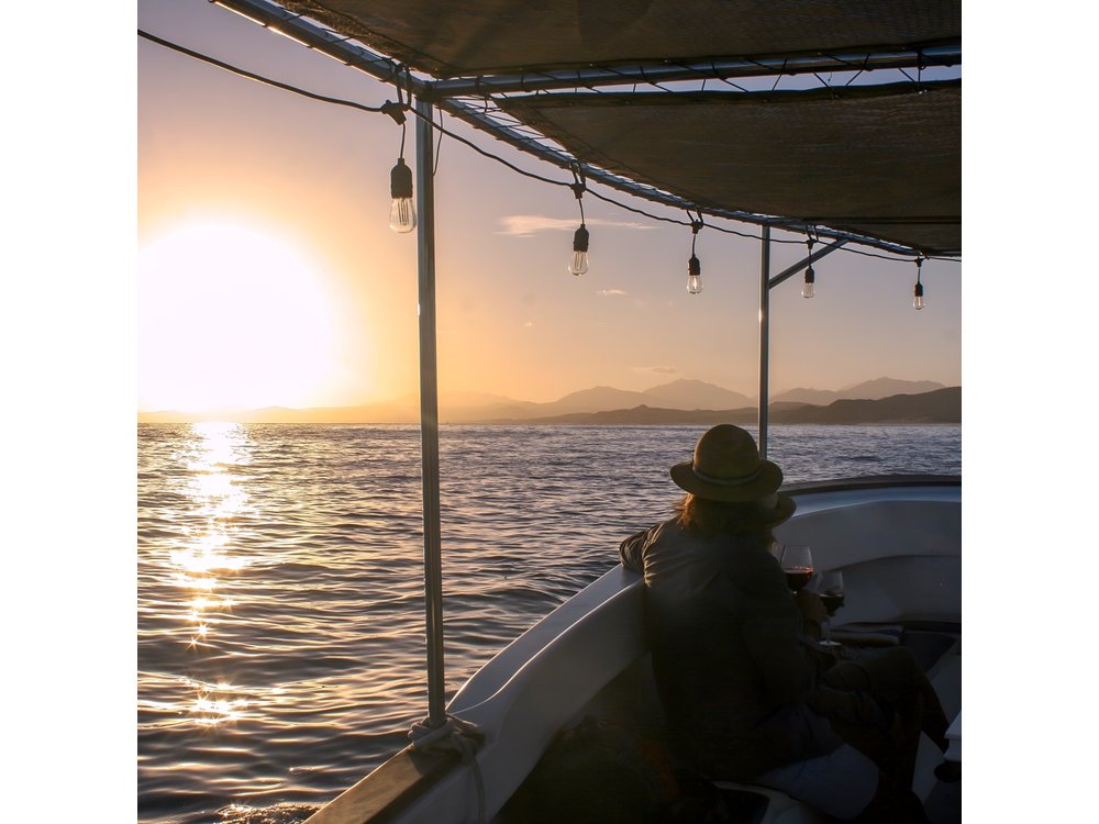 Wine Tasting Sunset Cruise Tour in San Jose del Cabo