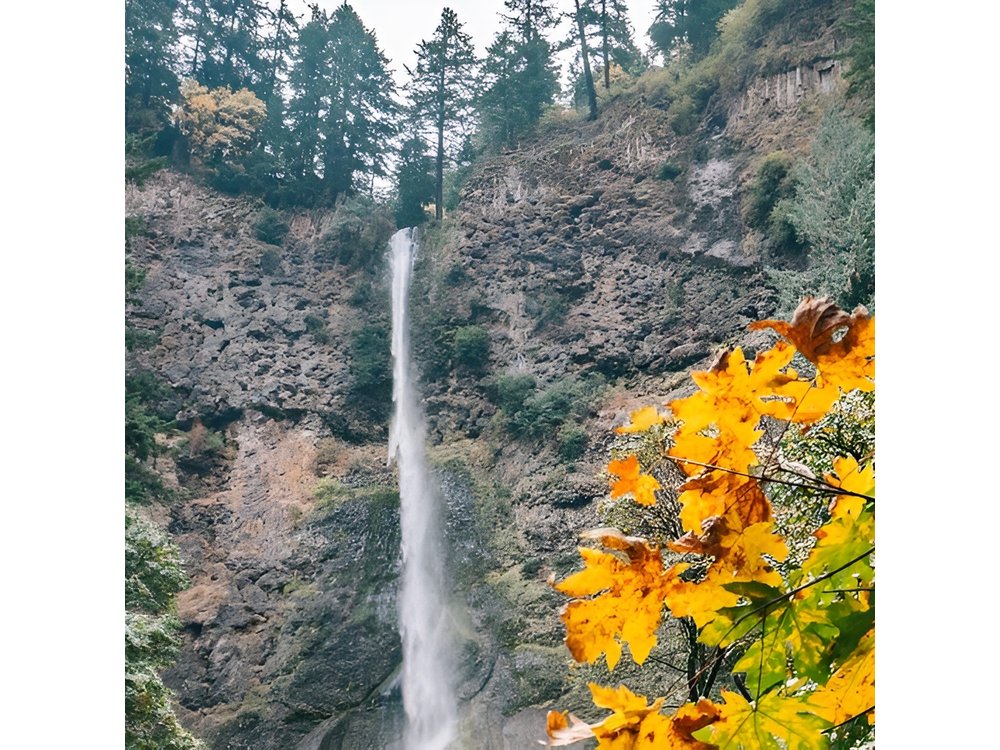 Portland Sightseeing Tour Including Columbia Gorge Waterfalls