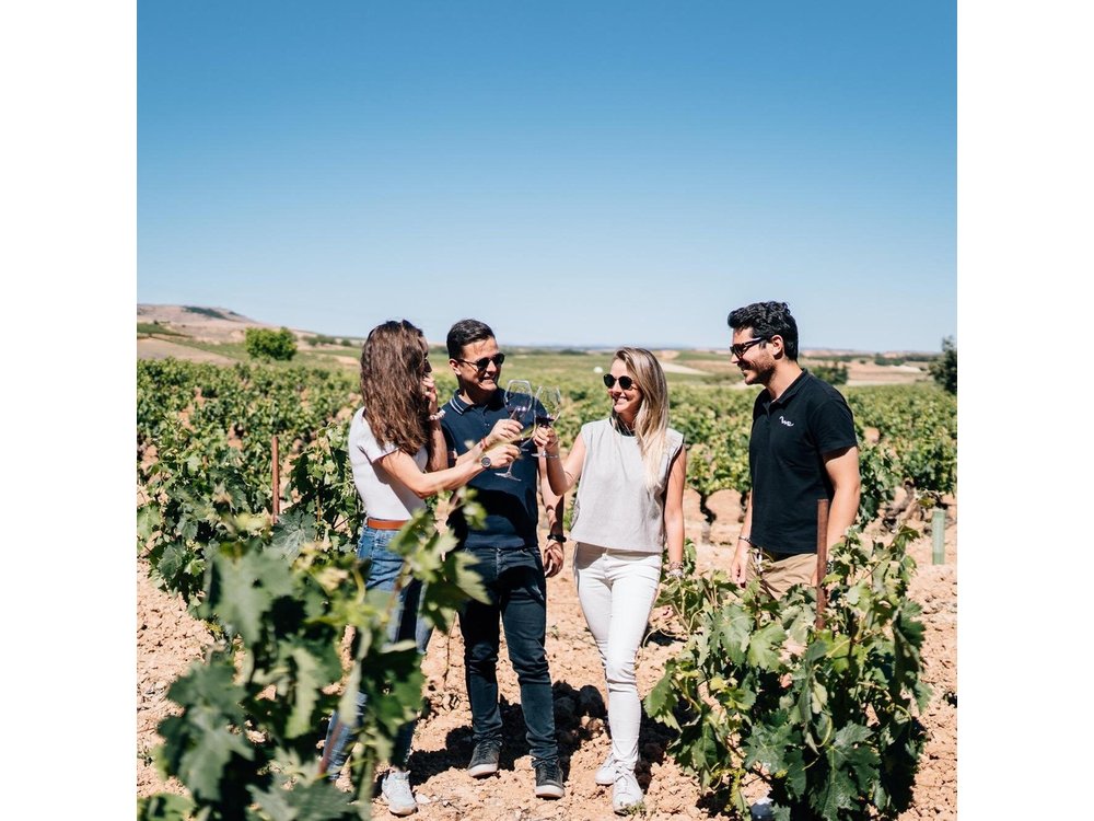 Private Segovia & Ribera del Duero with Wine Tasting from Madrid