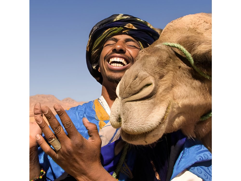 Marrakech Camel Ride
