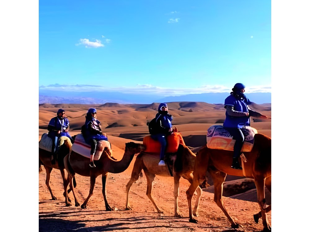 Desert Agafay & Atlas Mountains, Valleys & Waterfalls Tour from Marrakech