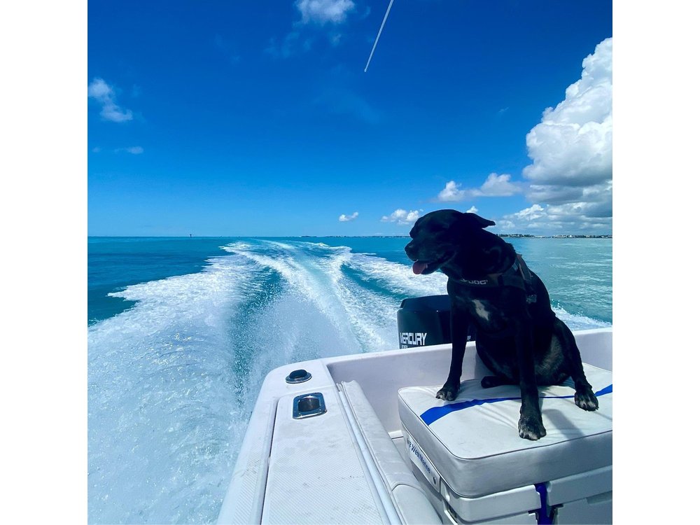 Explore the Waters of Key West