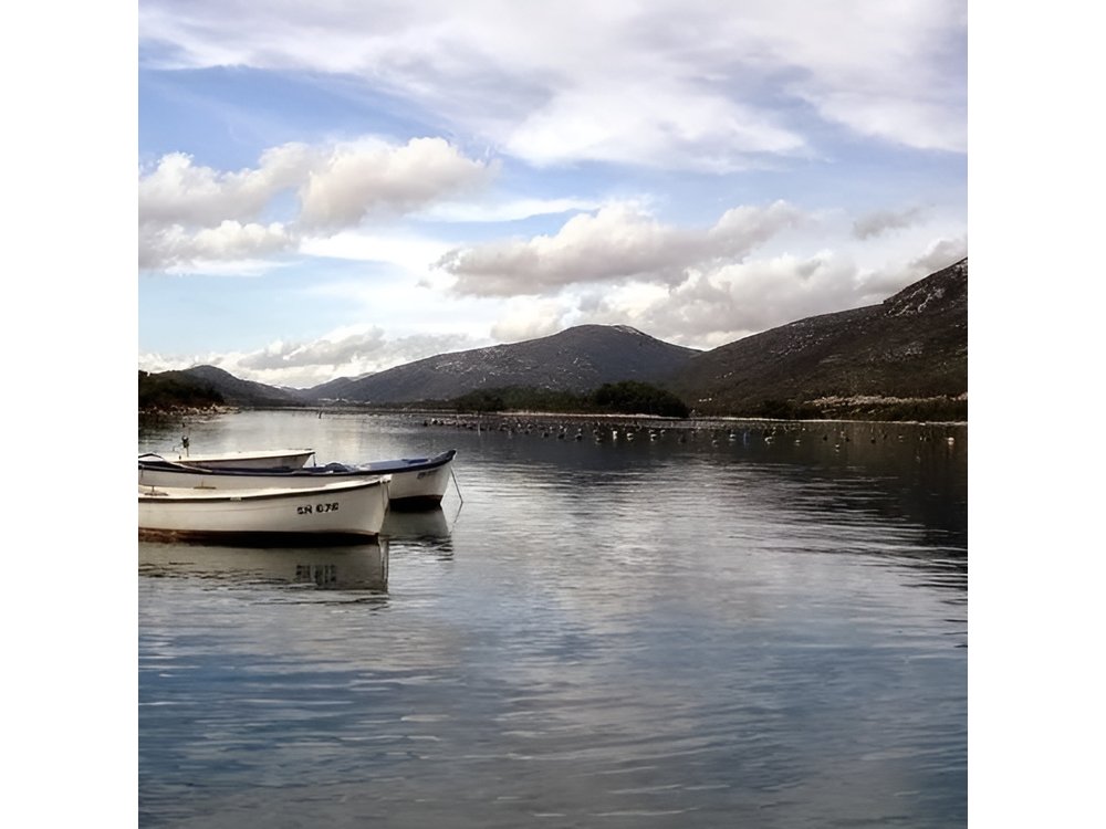 Oysters and mussels tasting with wine in Ston and Pelješac