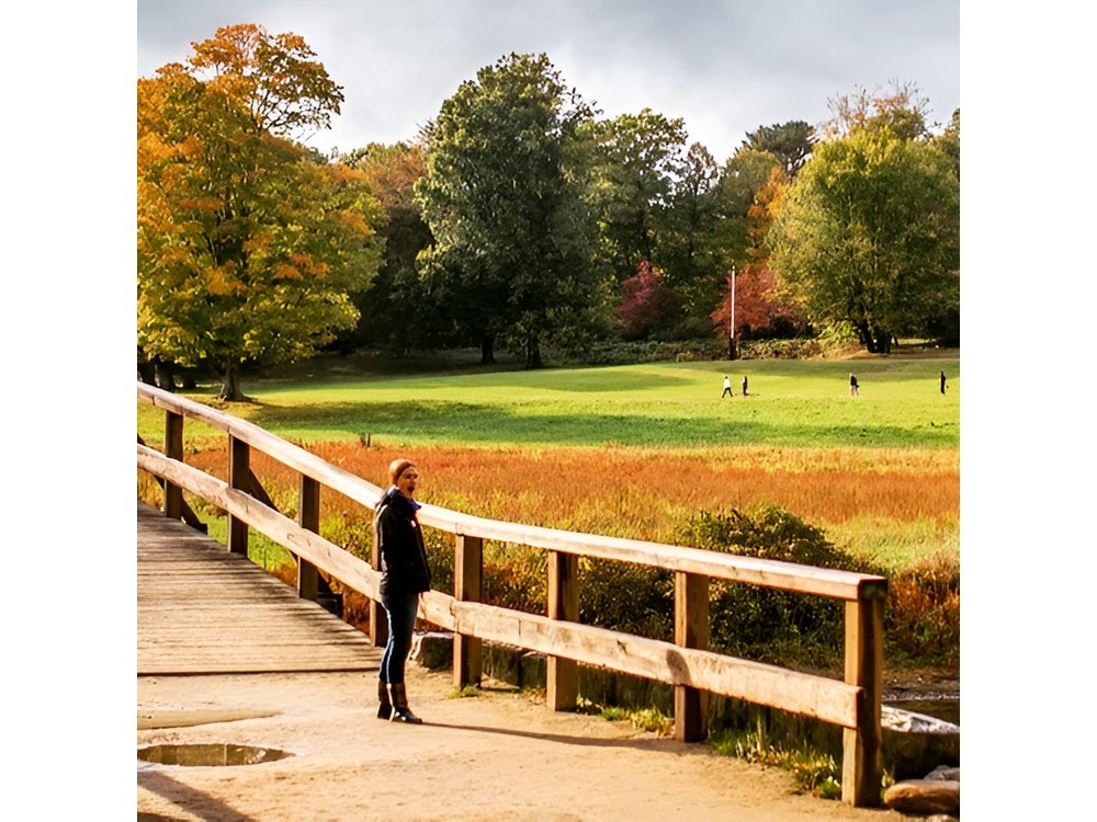 Lexington and Concord 3 hour private car tour from Boston