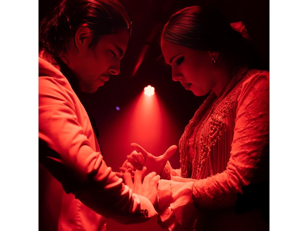 Flamenco Show at Tablao La Carmela in Madrid