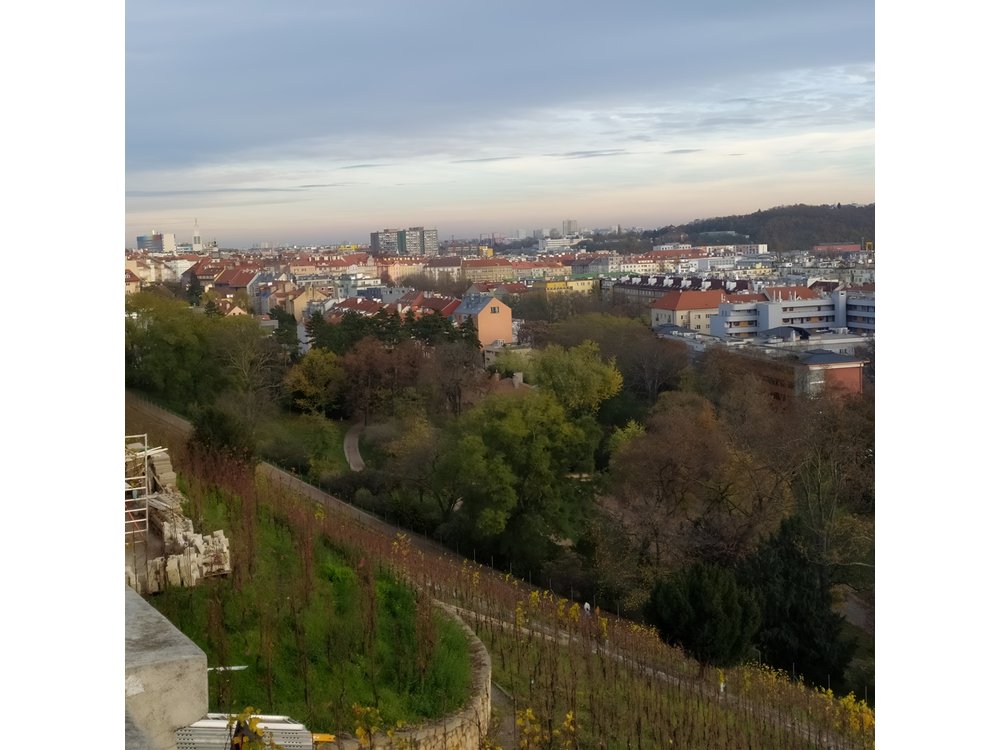 Non-touristy Prague - Cozy Neighborhoods - Private Tour