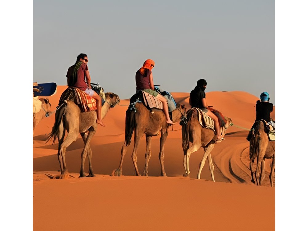 3 Days Private Desert Tour From Fez To Marrakech